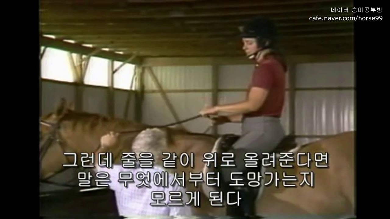 Centered Riding Video 7_손에대하여