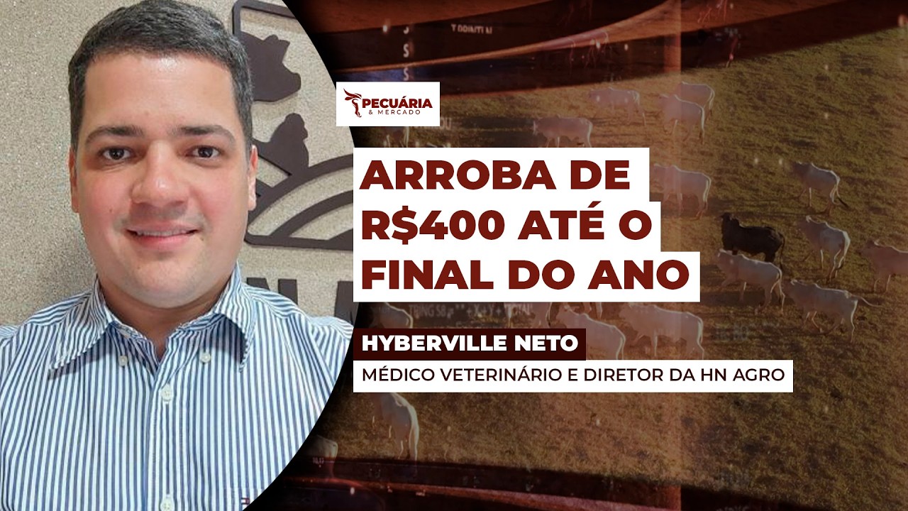 Projeções da HN Agro apontam para arroba de R$390 no final do ano; cenário mais otimista chega...