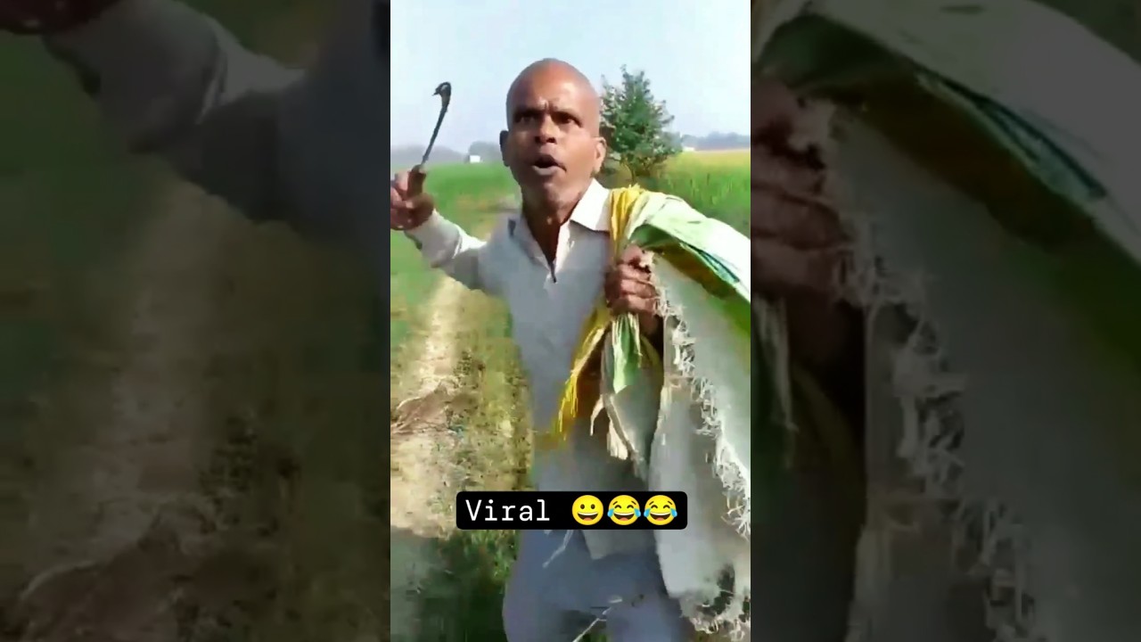 Santosh pagal ka comedy video #comedy #shortsfeed #virlvideo