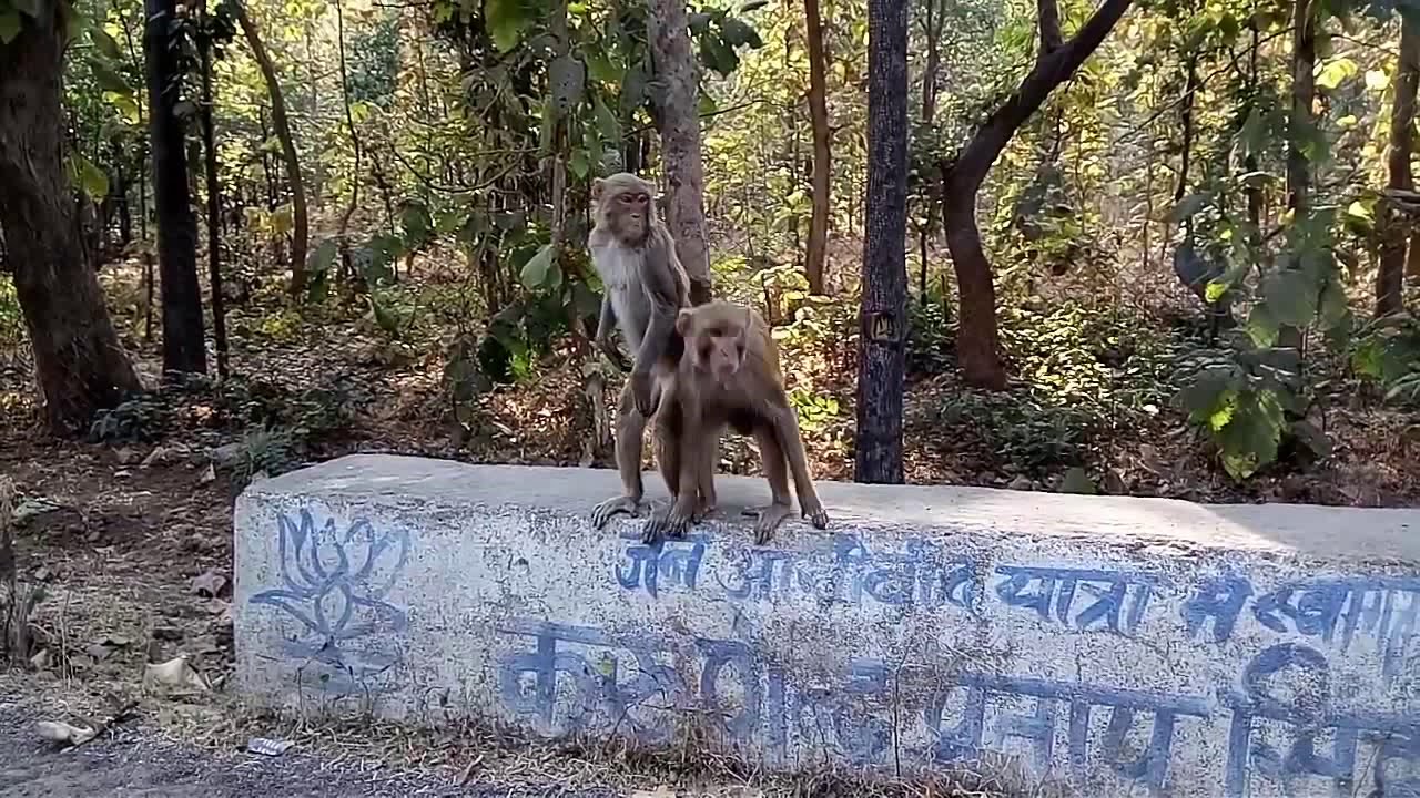 Chhatarpur To Panna Road Trip