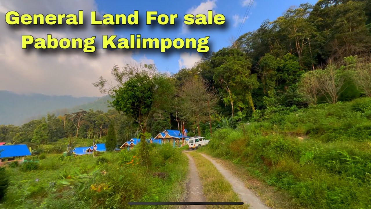 Kanchanjanga View General land for sale In Pabong Kalimpong 
