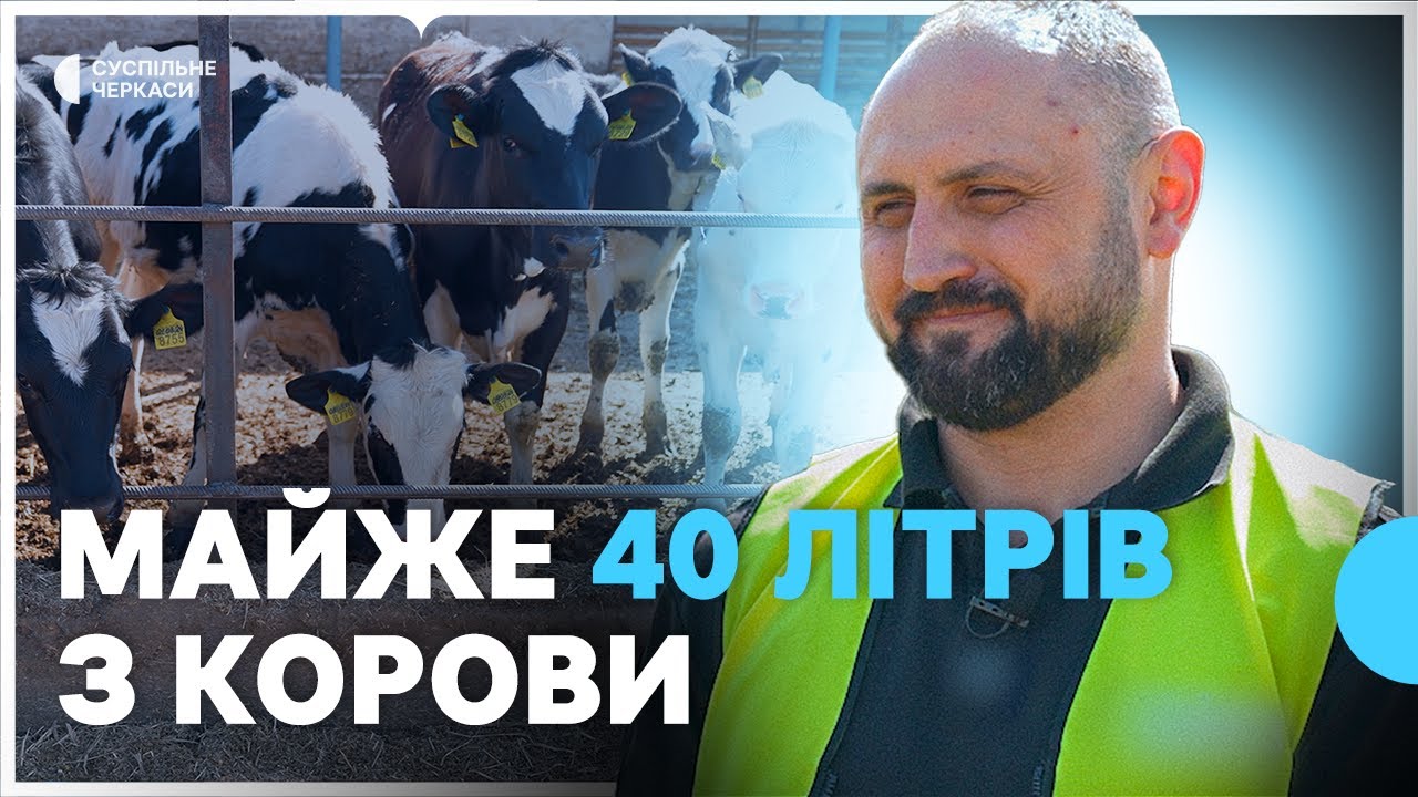 Утримувати молочну ферму в Україні під час війни: чи вигідно?