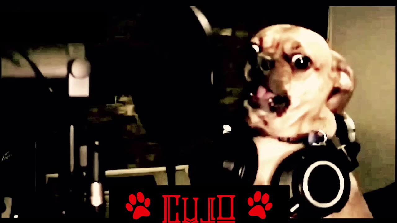 GASSHEAD&rsquo;S INFERNO  GUEST HOUSE BAND &ldquo;CUJO&rdquo;