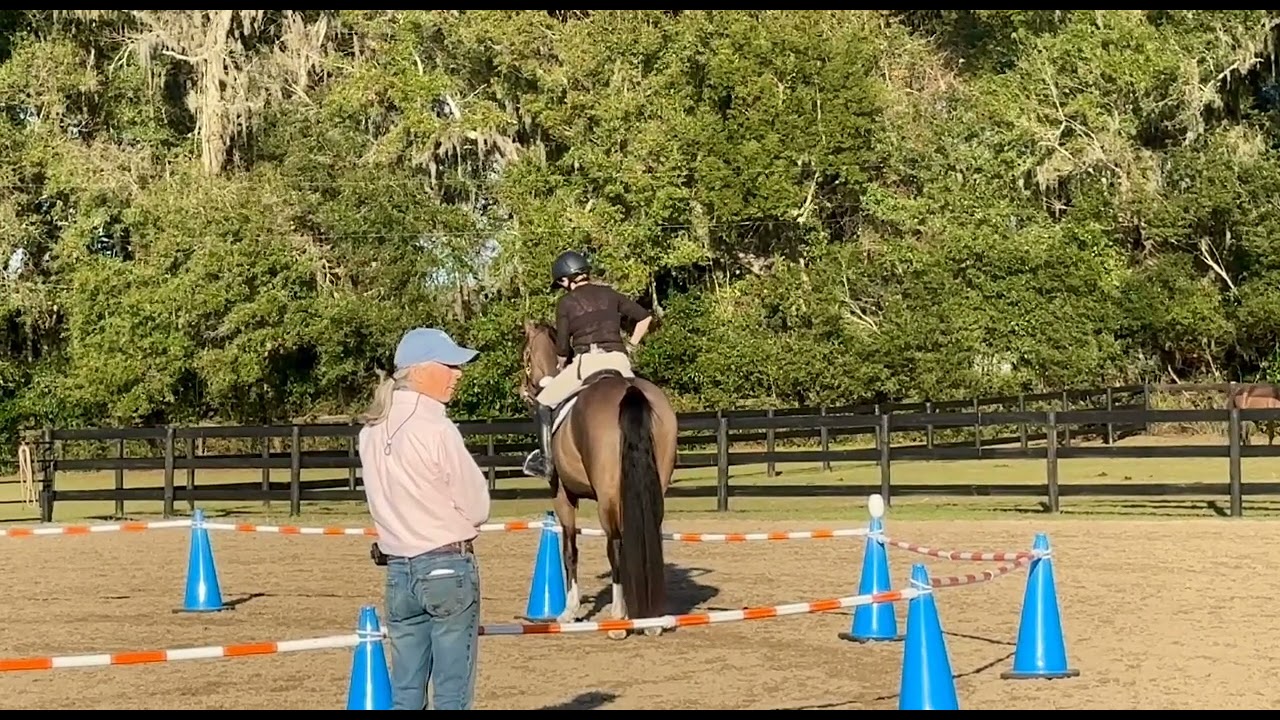 Henley Using the Safety of the Reverse Round Pen to Gain Confidence
