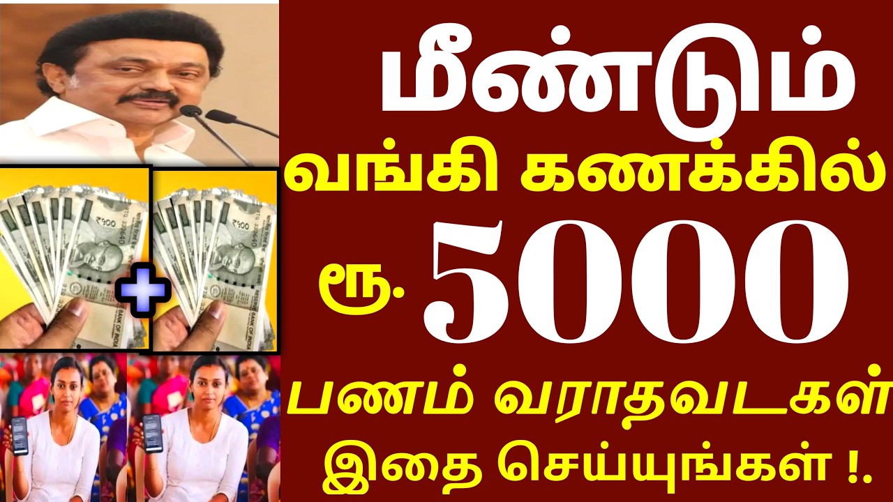 மீண்டும் ரூ.5000 முதல்வரின் அடுத்த புதிய உத்தரவு வந்துவிட்டது அடுத்த update | MkStalin news | ration