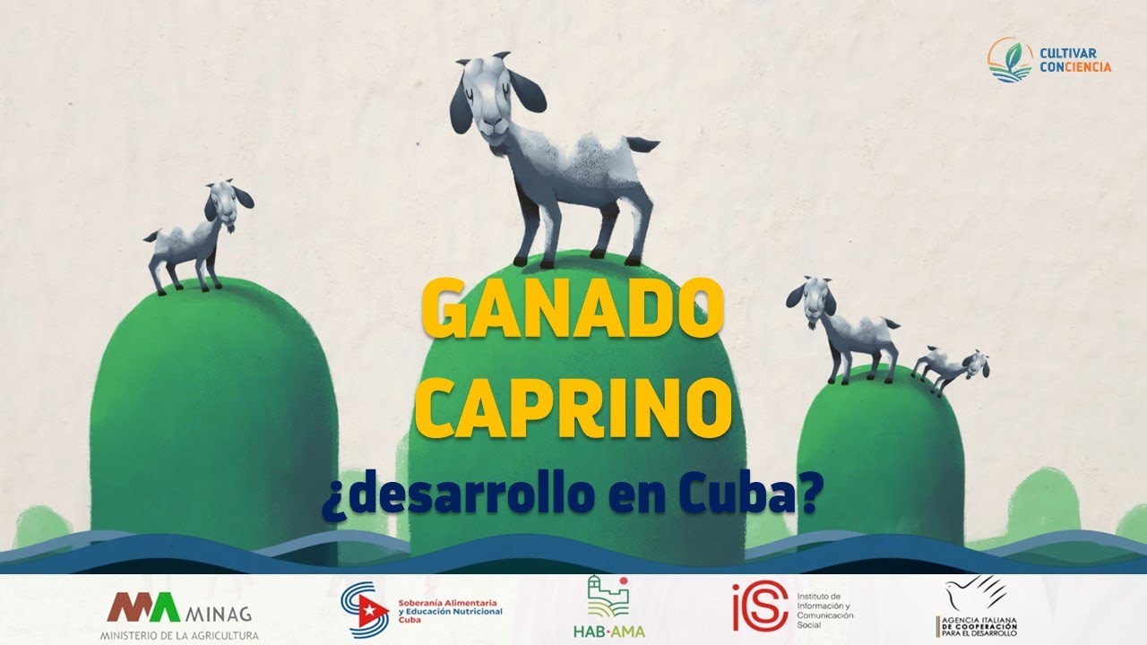 Ganado caprino: ¿desarrollo en Cuba?