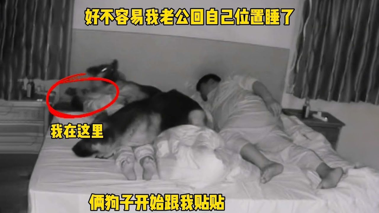 关于我费尽心思换床好像也只证明了夫妻感情很好这件事【憨憨金和帥帥銀】