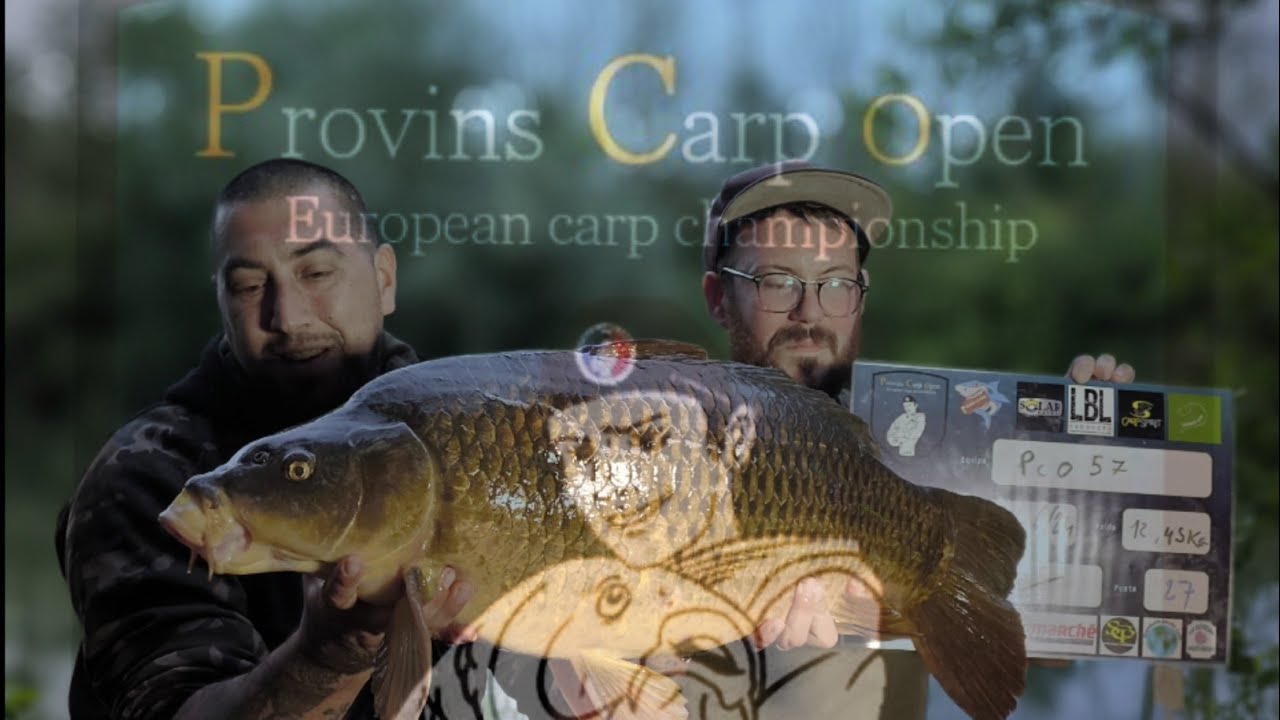 LA PÊCHE DE LA CARPE : ENDURO PROVINS CARP OPEN #carp #fishingvideo #pêche #carpfishing #catfish