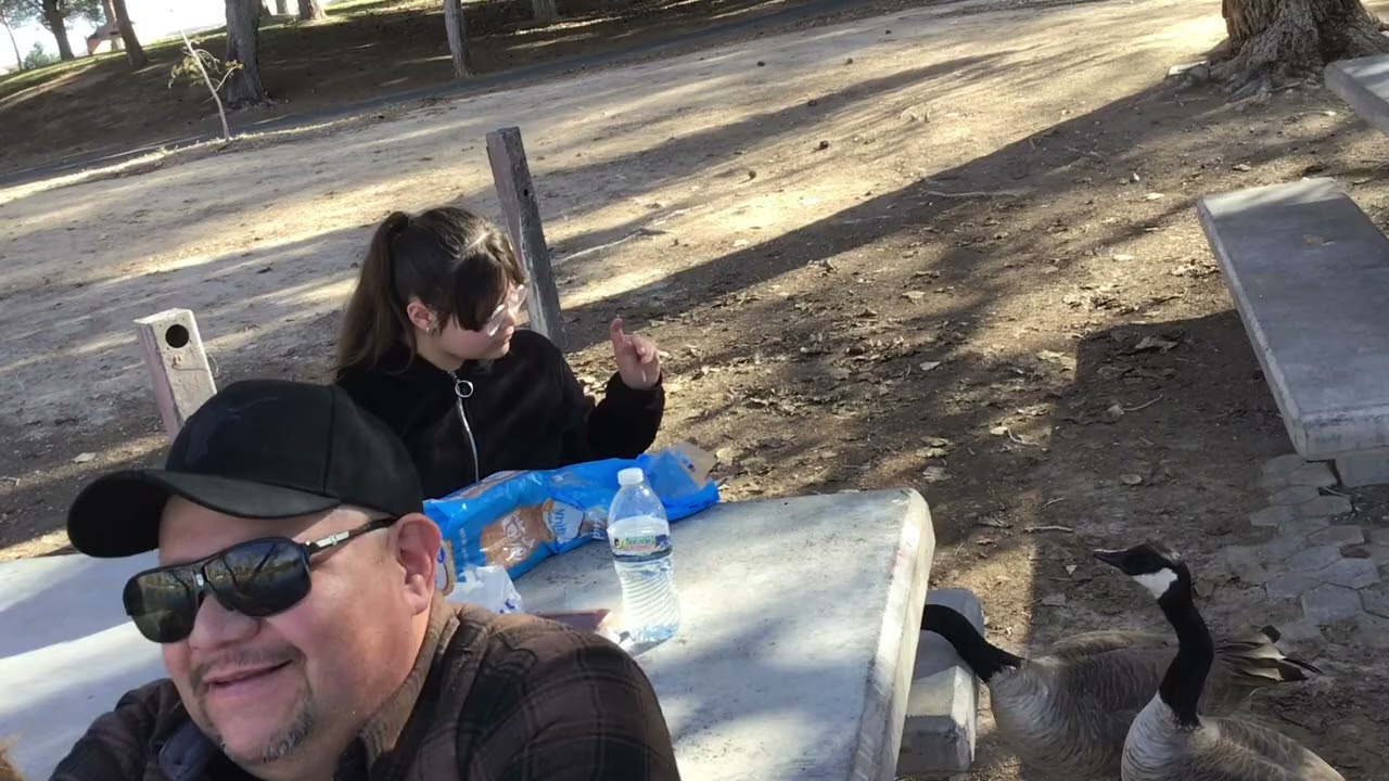 Going on a trip to see ducks