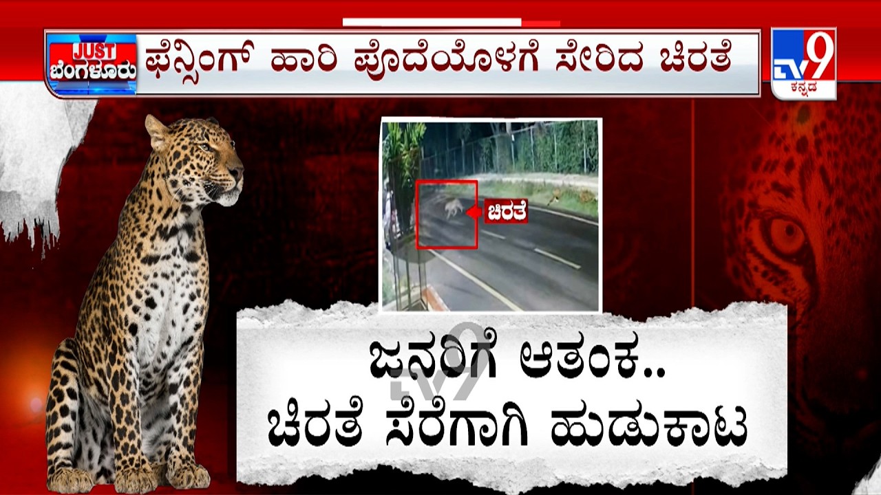 Leopard Spotted On Magadi Main Road | ಚಿರತೆ ಸೆರೆಗೆ ಅರಣ್ಯಾಧಿಕಾರಿಗಳ ಸರ್ಕಸ್​​