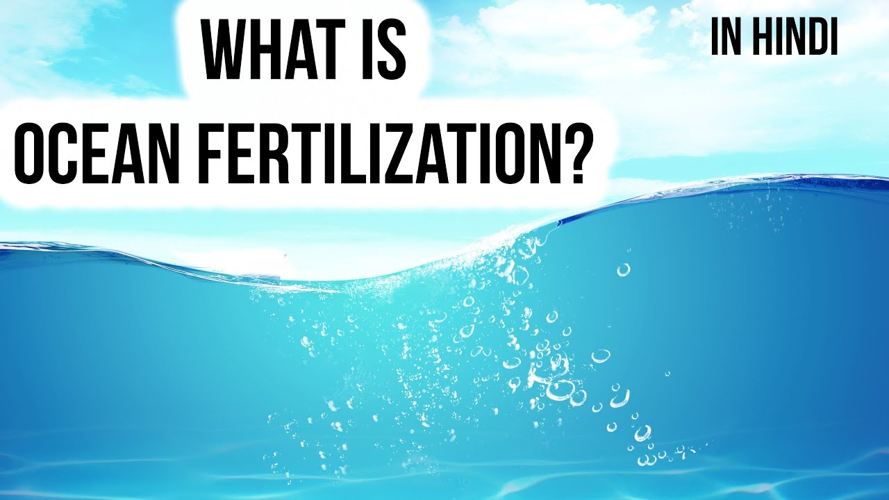 Ocean fertilization क्या है? Innovative method to absorb more carbon dioxide, Current Affairs 2018