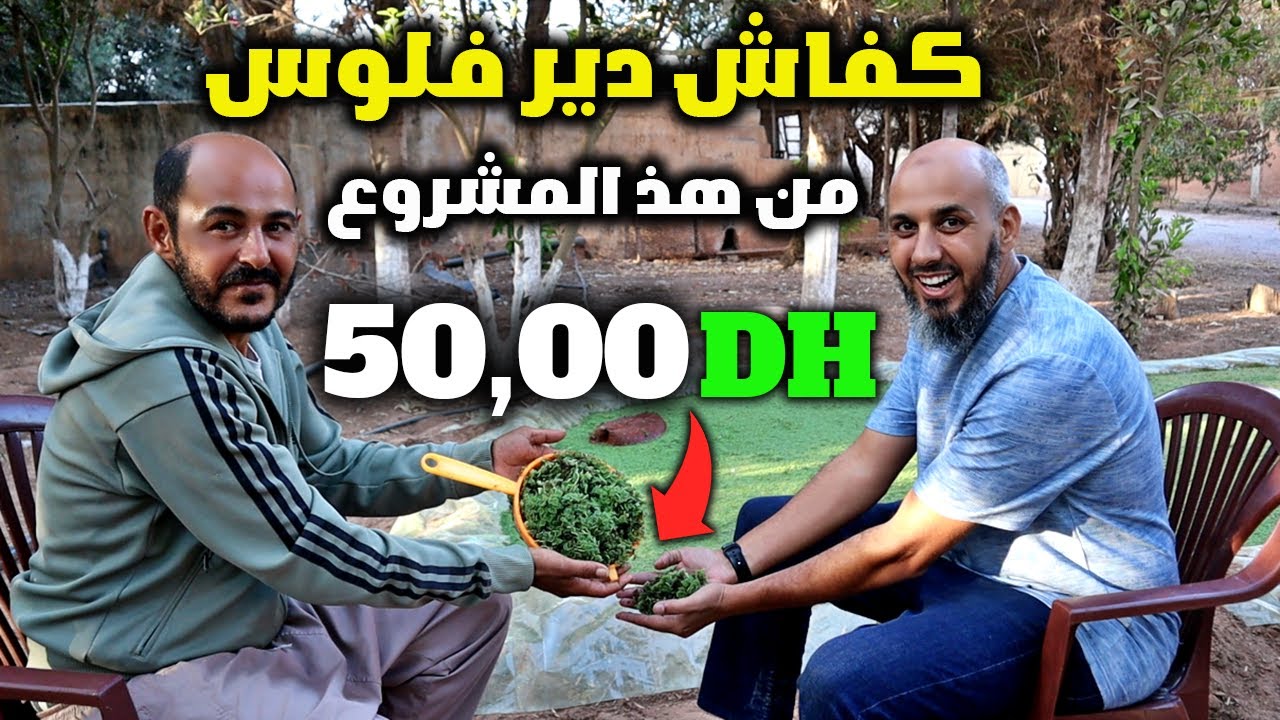 كيفاش دير الفلوس من الازولا ؟ 10K تربح منها 500 DH 🤑 مشروع مربح براس مال صغير