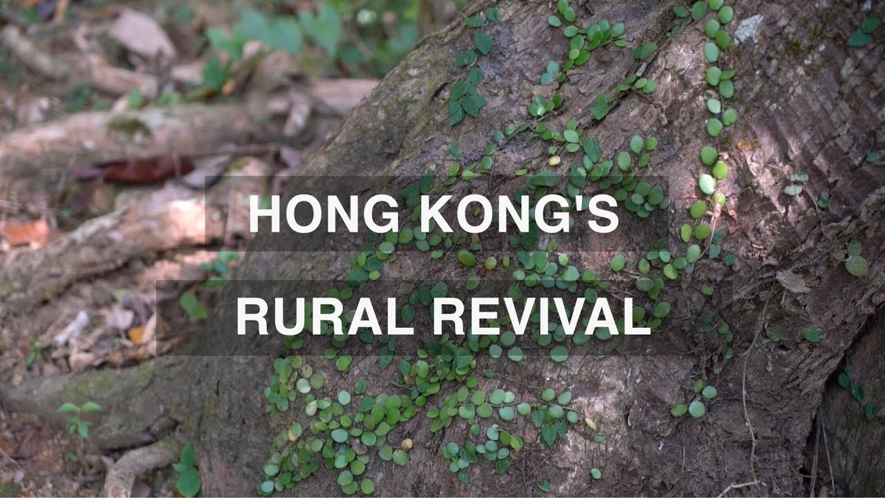 Hong Kong's Rural Revivial