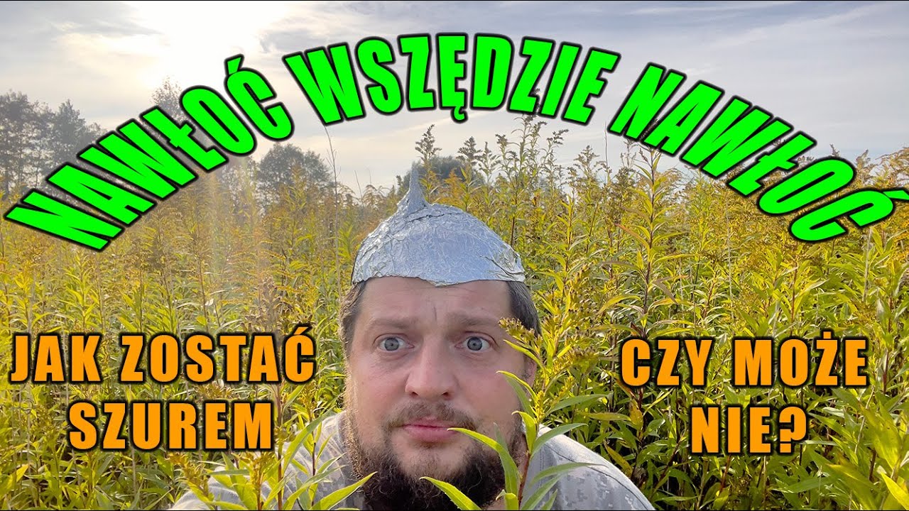 Jak zostać szurem, czyli o Nawłoci ciekawostek kilka