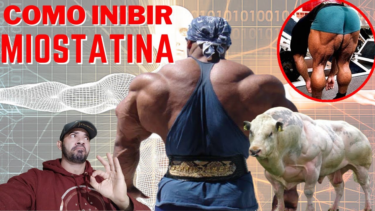 COMBO PARA GANHOS SECOS E INIBI&Ccedil;&Atilde;O DA MIOSTATINA