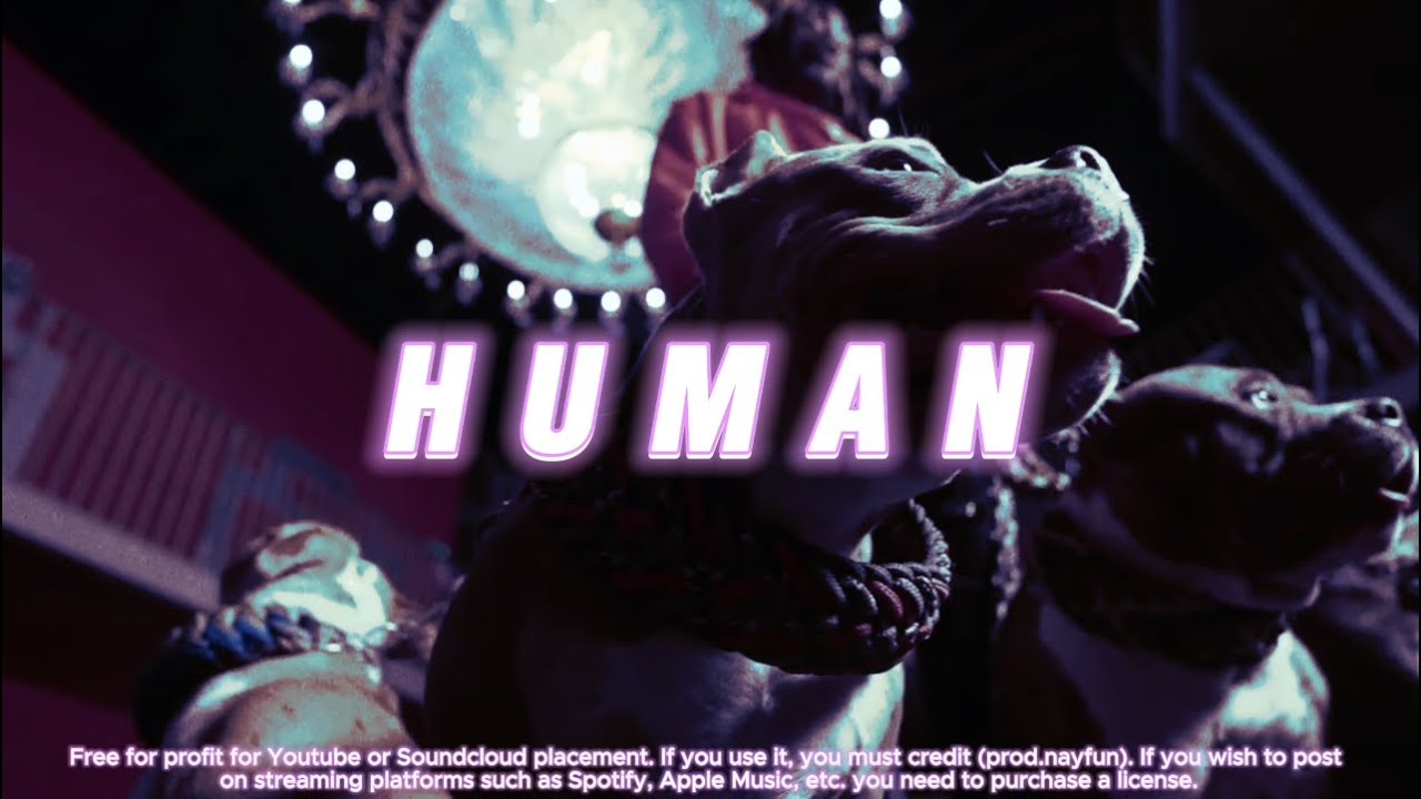 [FREE] Gazo x Beendo Z x Damso x Drill Type Beat - 