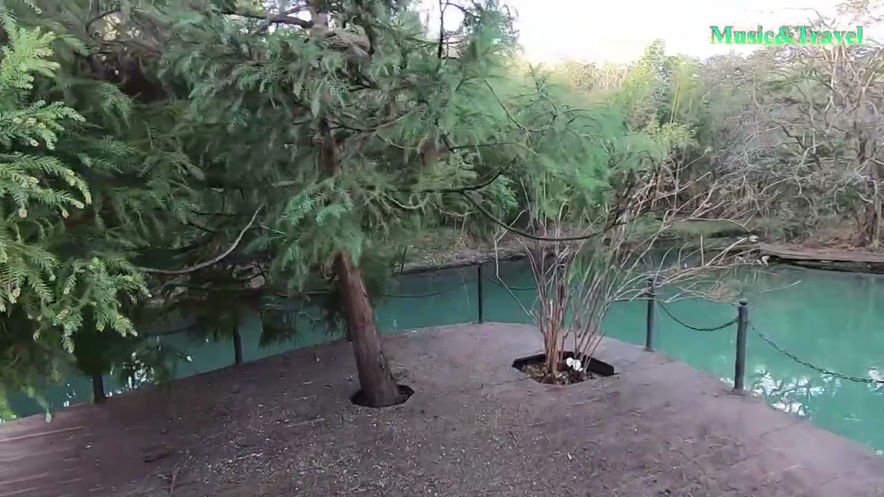 В дендро-парке «Южные культуры» (Адлер)