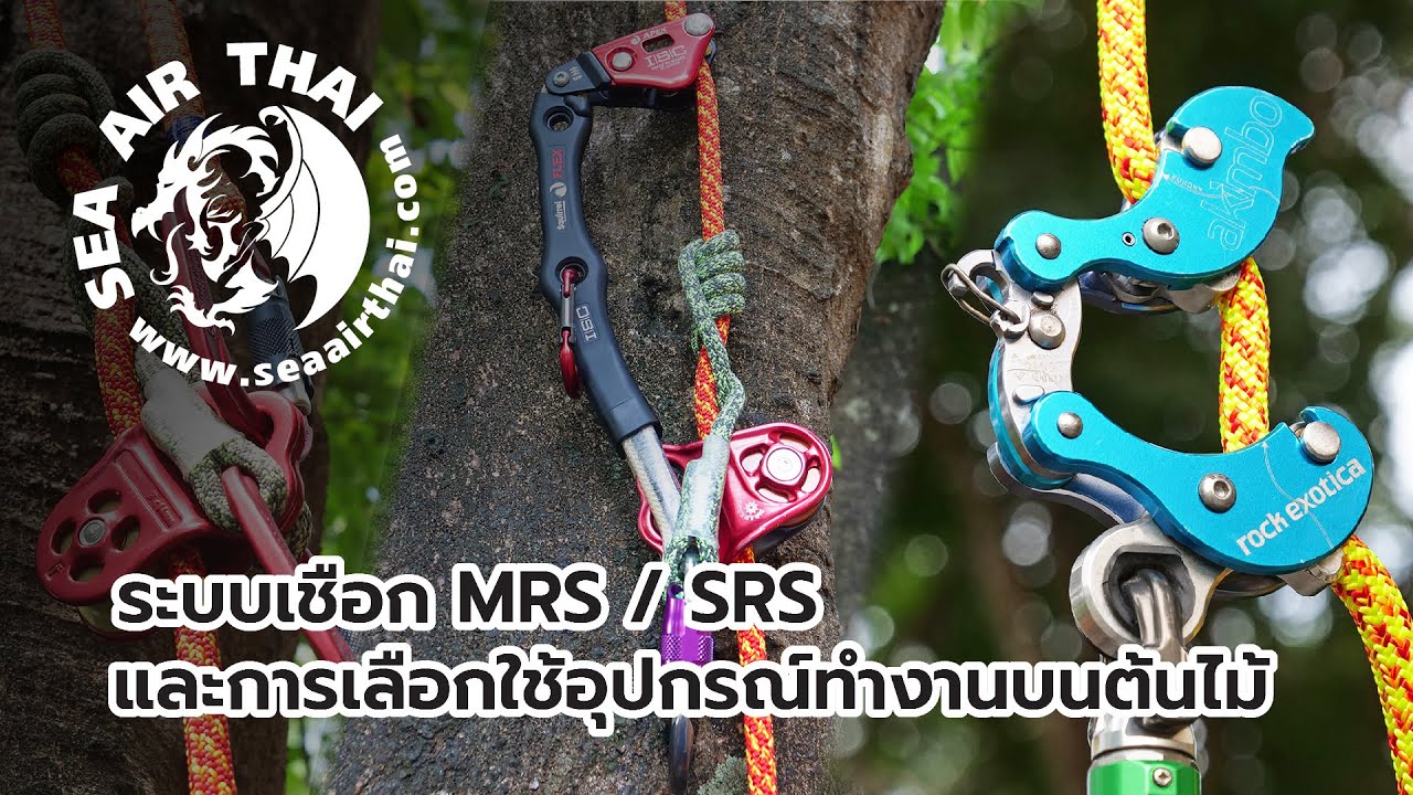 ระบบเชือกและการเลือกใช้อุปกรณ์ทำงานบนต้นไม้
