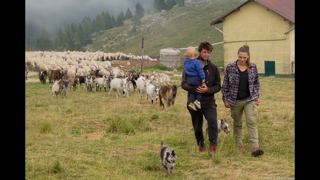 2025 Pastori Sartori Luca Cappellari Nicole