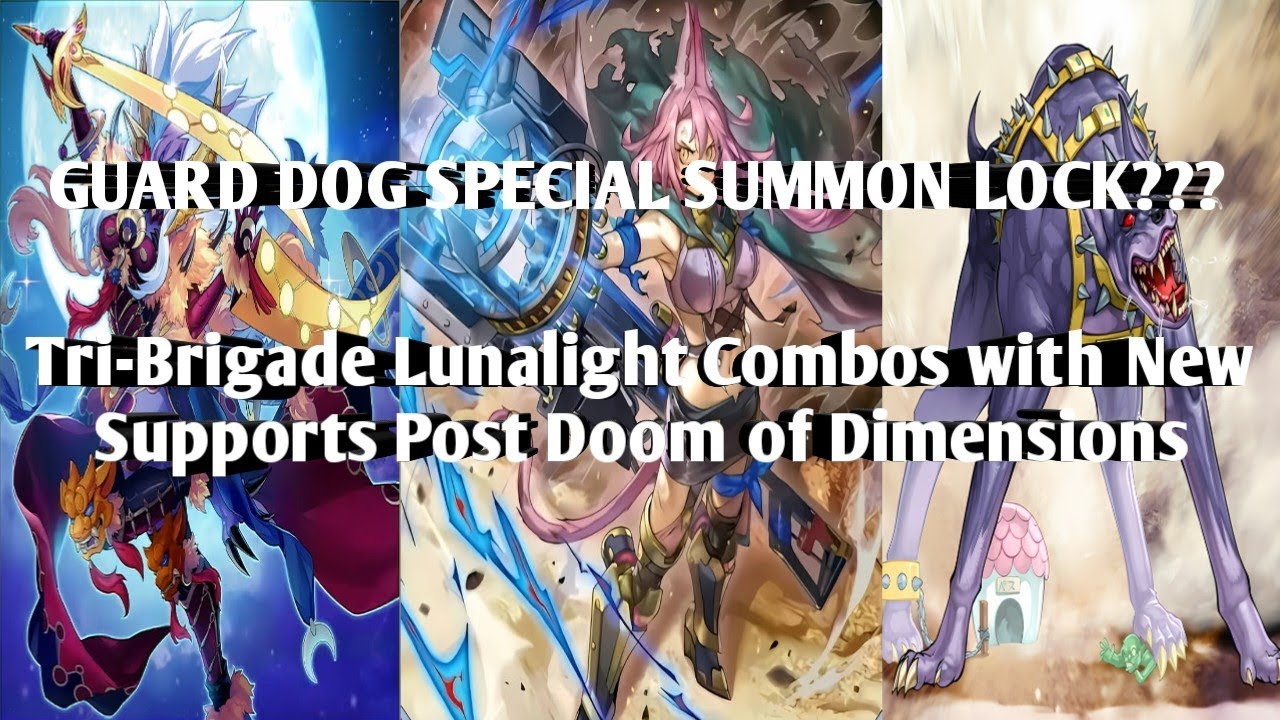 Tri-Brigade Lunalight Combos with New Supports Post Doom of Dimensions Edopro Yu-Gi-Oh! by Arslan