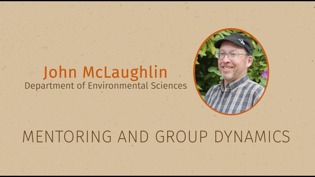 McLaughlin (3/4) Mentoring and Group Dynamics