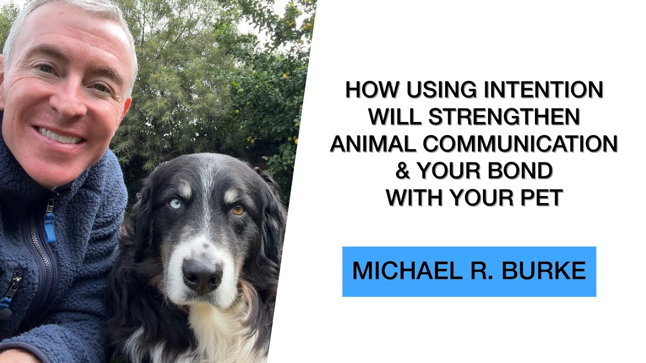 How an Animal Communicator Uses Intention to Strengthen Animal Communication