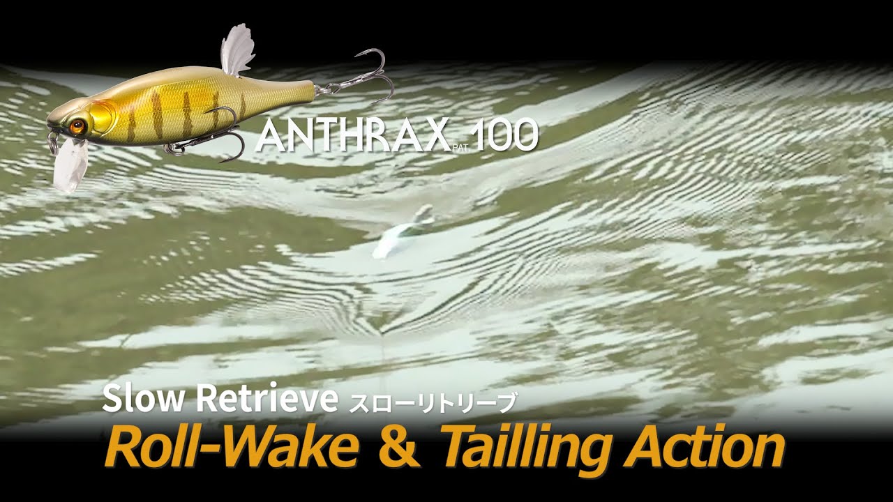【ANTHRAX】Roll ＆ Tailling Action（Slow Retrieve）