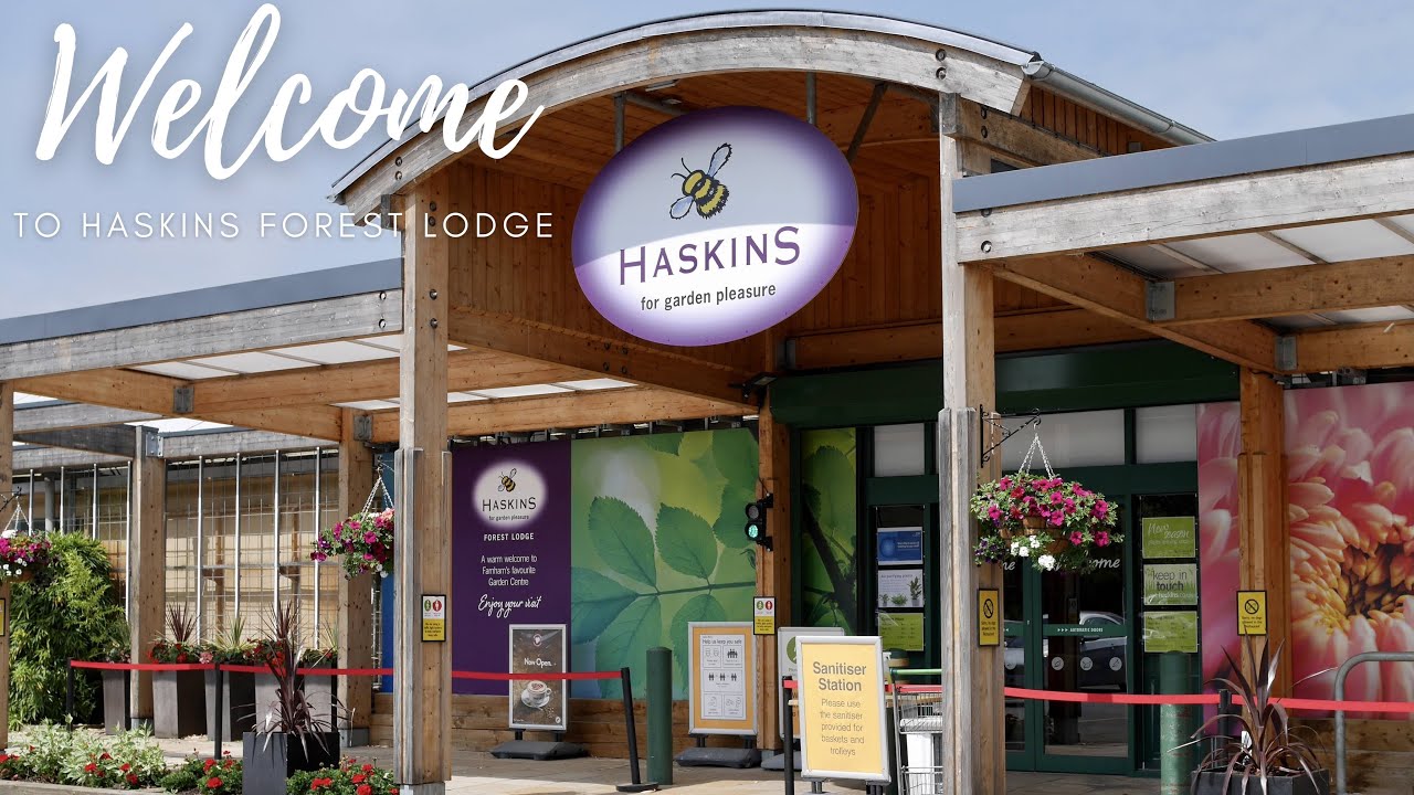 Welcome to Haskins Forest Lodge Centre