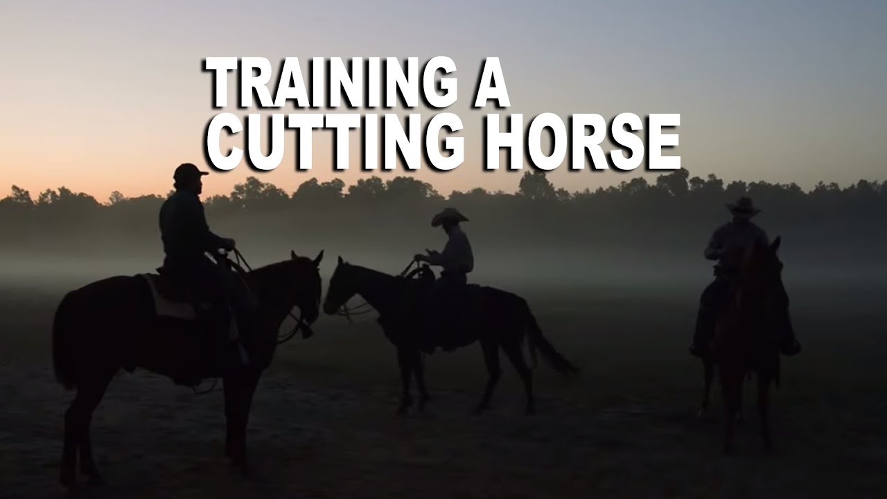 Training a Cutting Horse - MAKING THE CUT | Low Country Cowboys Episode Three