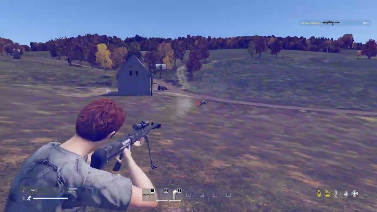 DAYZ PVP