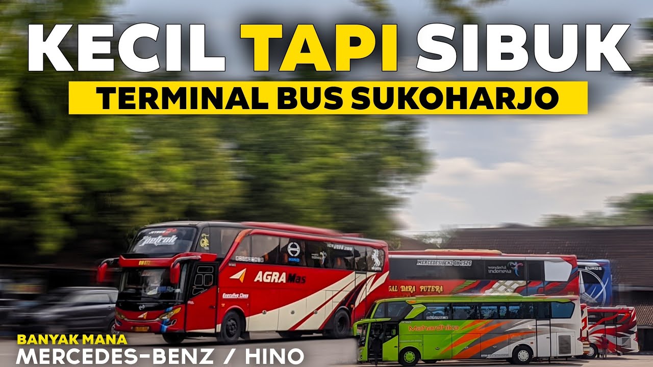 BANYAK BIS SPESIAL 🔥 || Kesibukan Terminal Bus Sukoharjo || Siapa Penguasanya ⁉️
