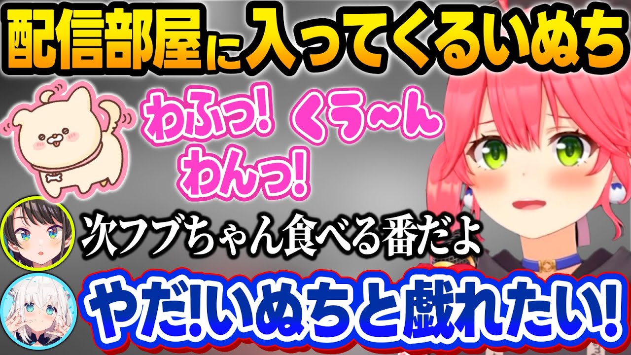 配信部屋に入ってきてガッツリ配信に声が載るいぬち＋百味ビーンズが嫌すぎていぬちで現実逃避するフブさんw【さくらみこ/大空スバル/白上フブキ/鷹嶺ルイ/ホロライブ/切り抜き】