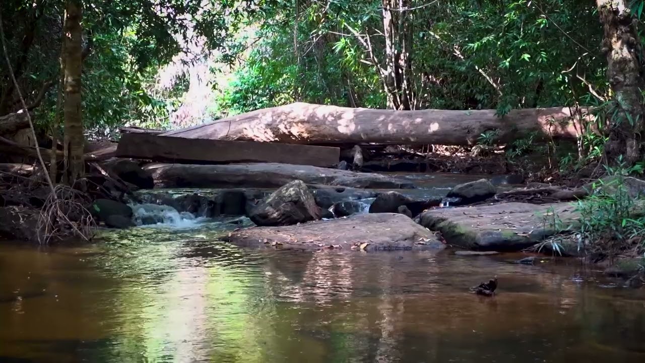 Calming Piano with Flowing Stream Sounds