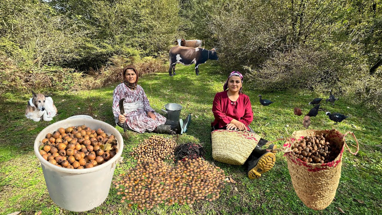 Повседневная жизнь сельской матери и дочери, собирающих какие-то горные фрукты во имя Азгиль