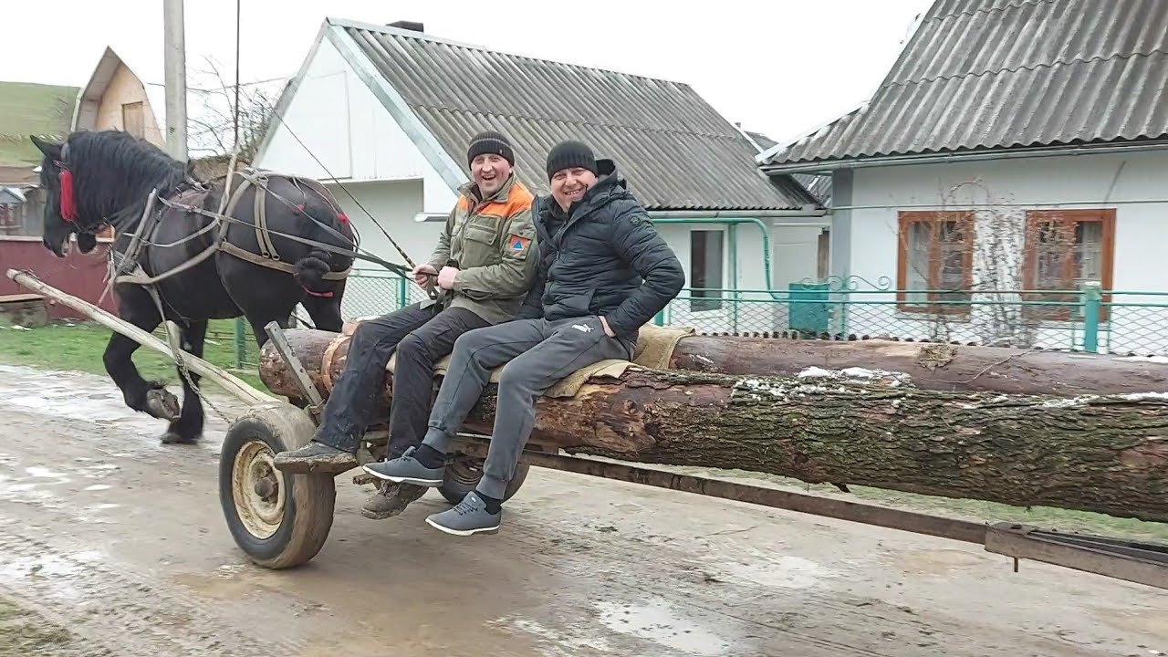 Прогулянка Фараона💣 Приїхали друзі допомагати🤛
