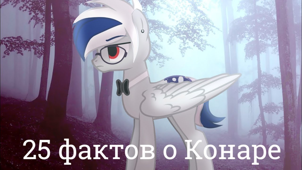 ♡‿♡ 25 фактов о Конаре ♡‿♡