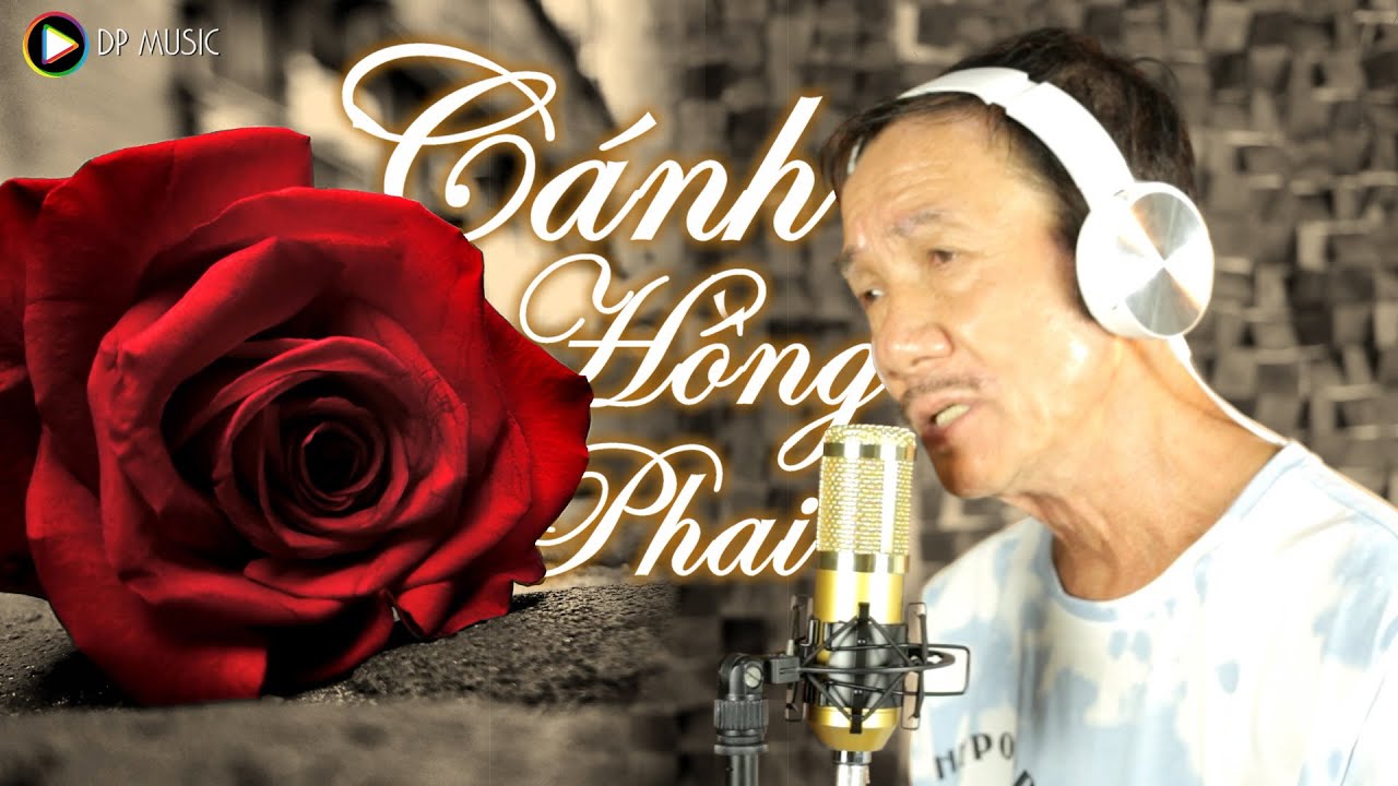 🌹 Cánh Hồng Phai | Tác Giả: Dương Khắc Linh