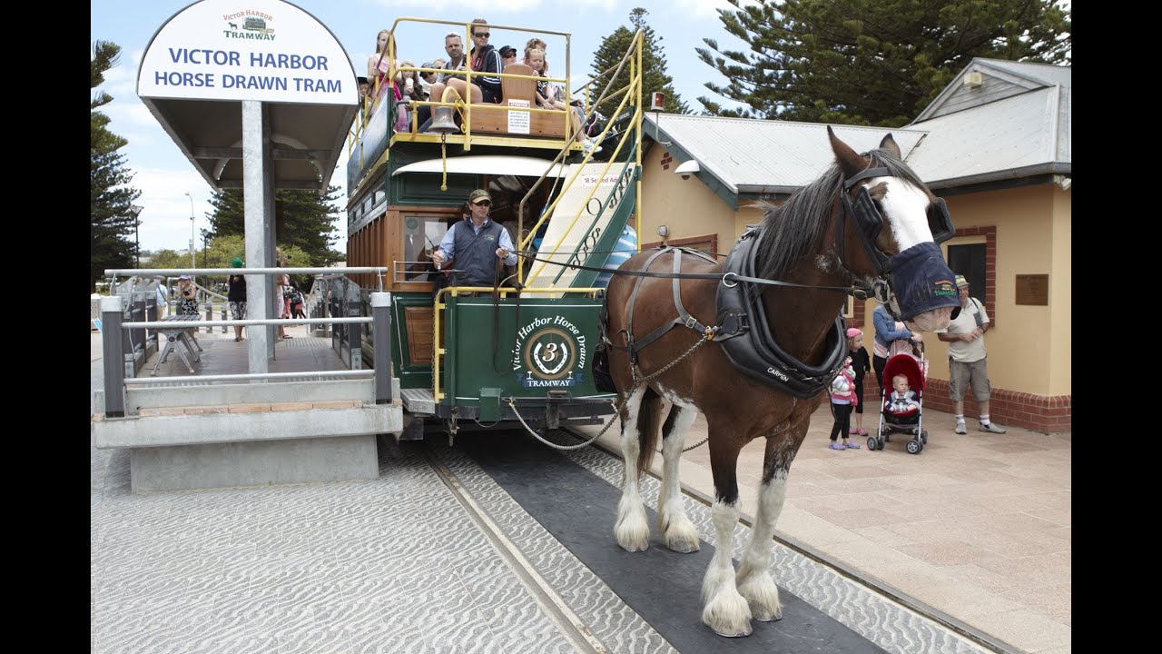 Victor Harbor horse-drawn tram, South Australia