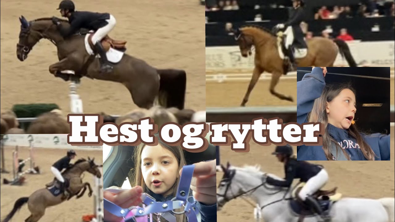 Hest og rytter 🐴