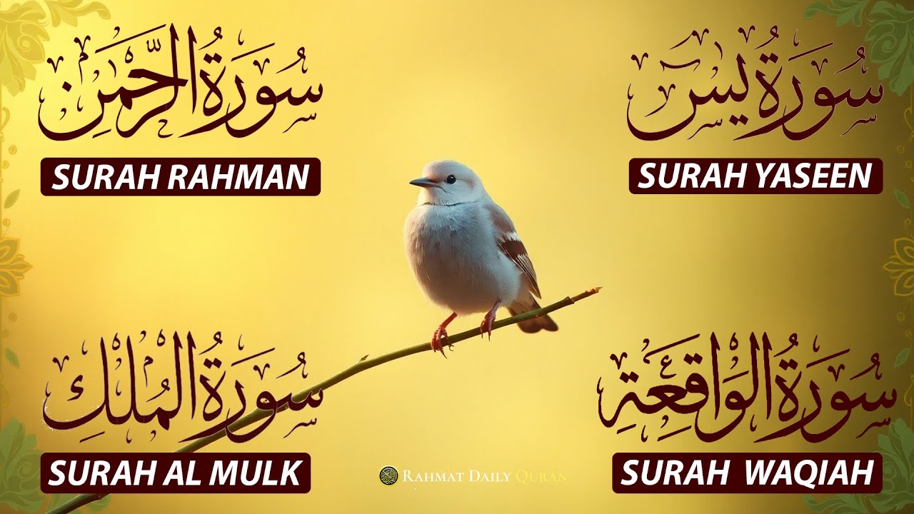 The Best Recitation Surah Yaseen (Yasin) | Surah Rahman | Surah Waqiah | Surah Mulk