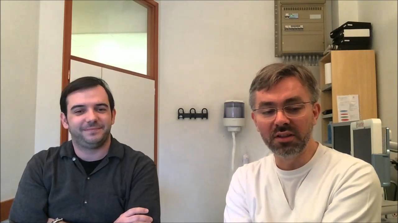 Dr Stefanescu + Mr Bilbao on CLEVER project