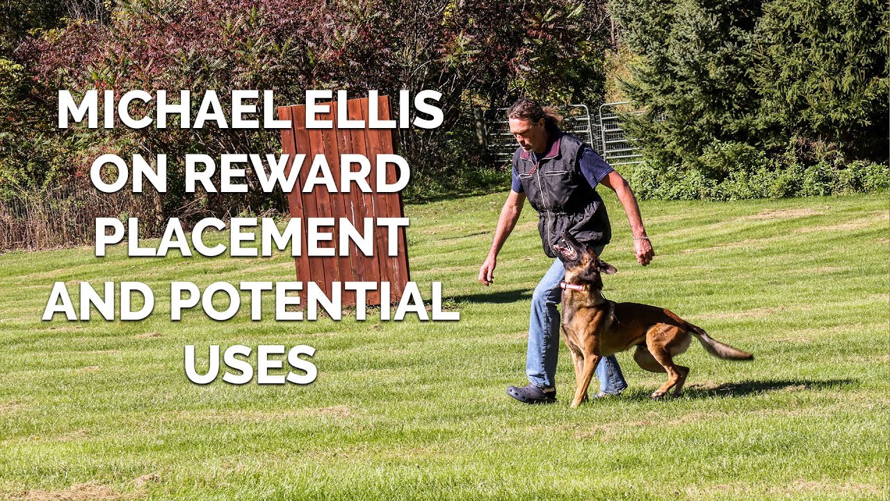 Michael Ellis on Reward Placement and Potential Uses