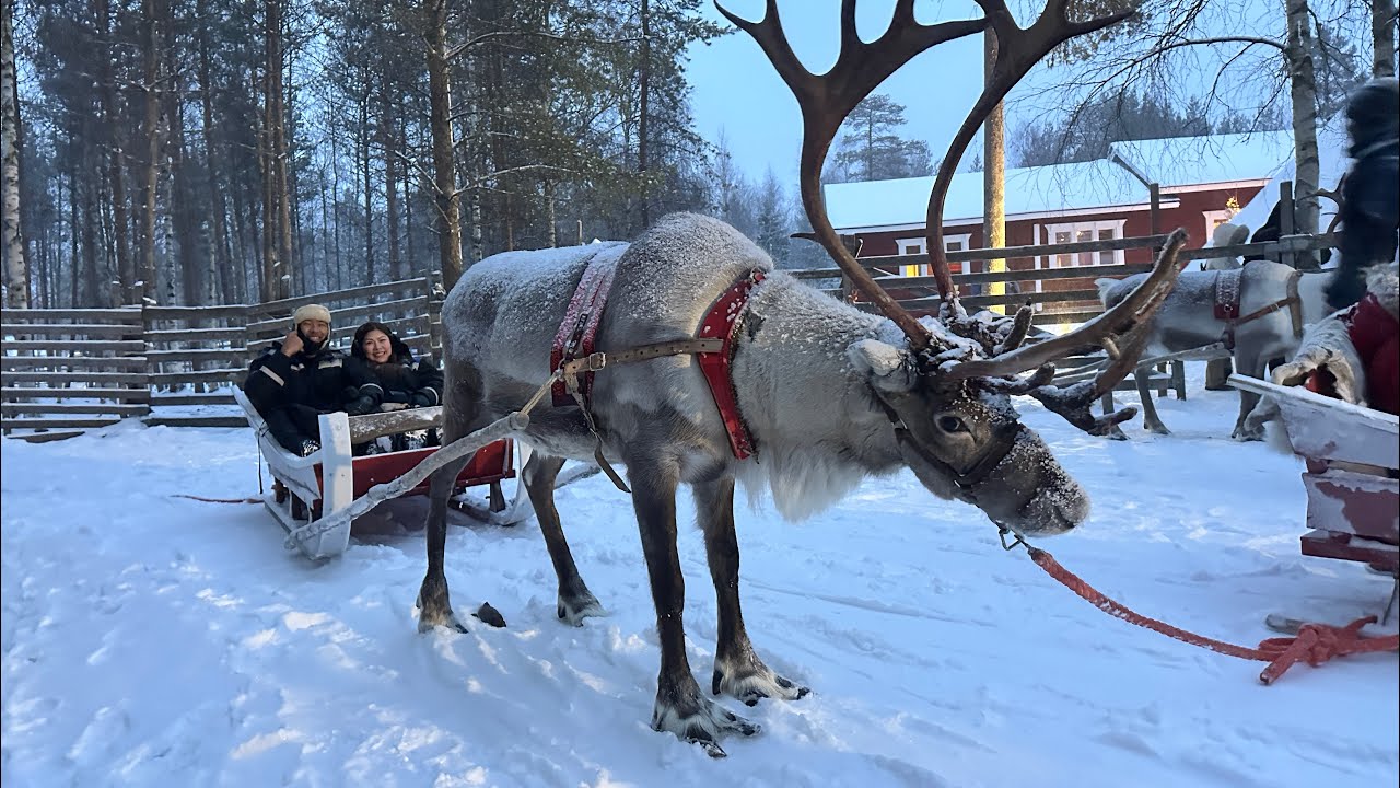 Our Rovaniemi Adventure 