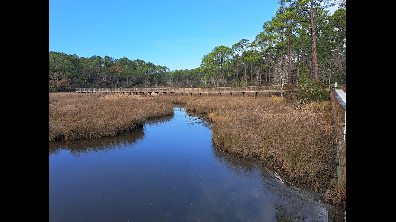 Hiking Along Lamott Bayou: Shepard State Park in Gautier, Mississippi