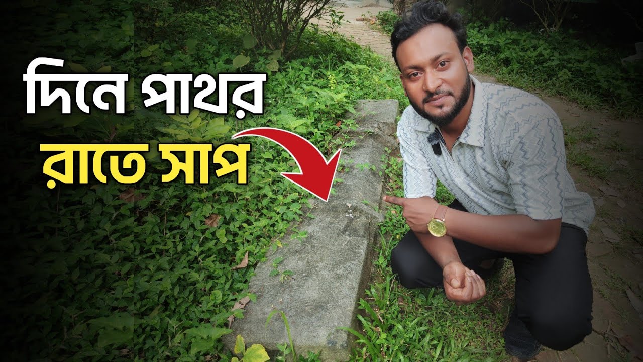 মানুষের মত ঘুরে বেড়ানো অলৌকিক পাথর | দিনে পাথর, রাতে সাপ | যে পাথর কেউ নিয়ে যেতে পারে না |