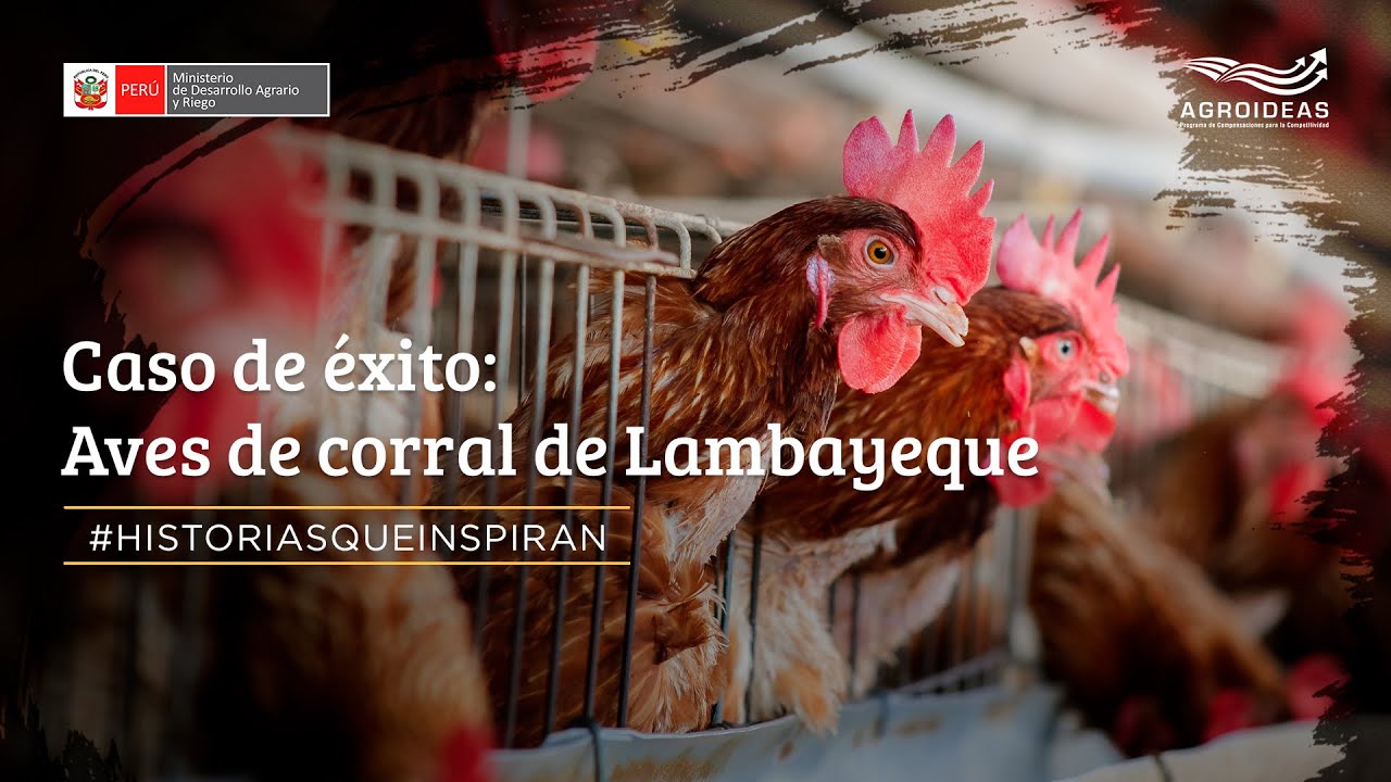 #HistoriasQueInspiran | 