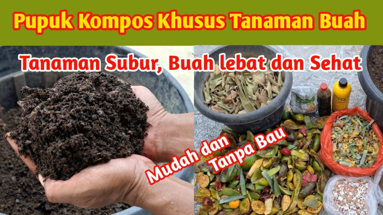 Tanaman Subur Buah Jadi Lebat❗Membuat Pupuk Kompos dari Sampah Rumah Tangga Cepat Halus Tanpa Bau