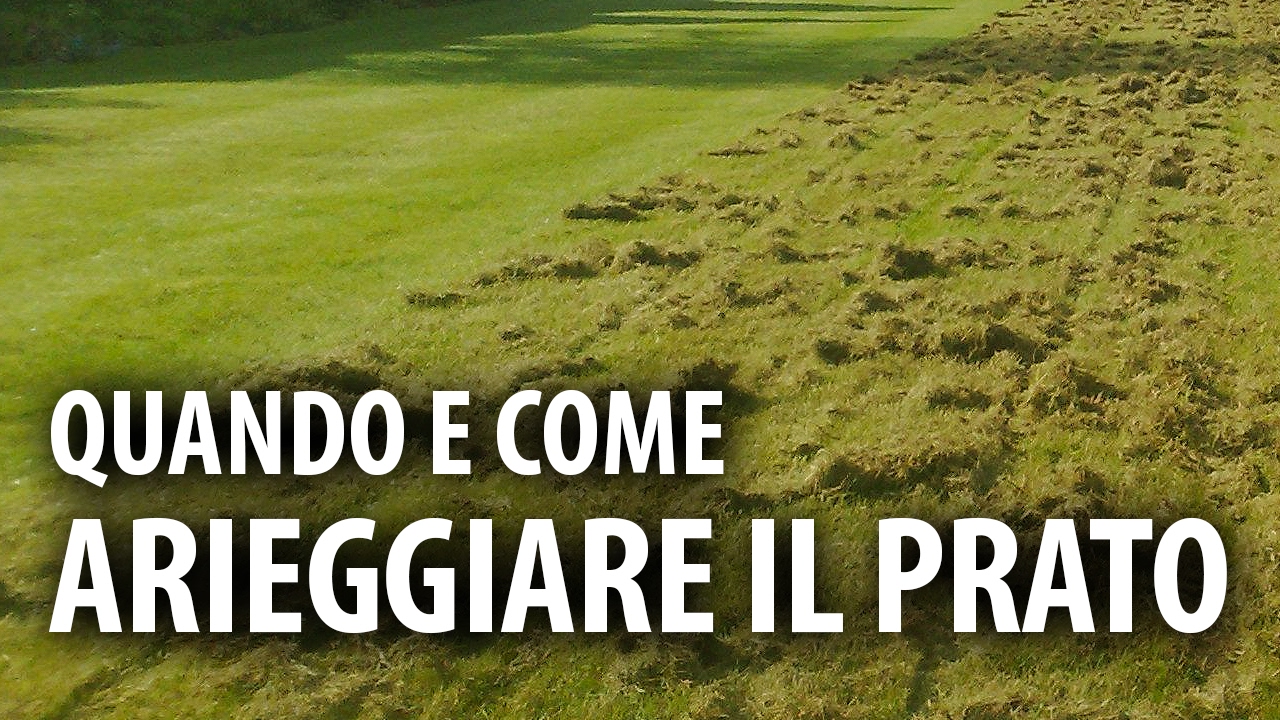 Arieggiare il Prato. Quando e Come Farlo.