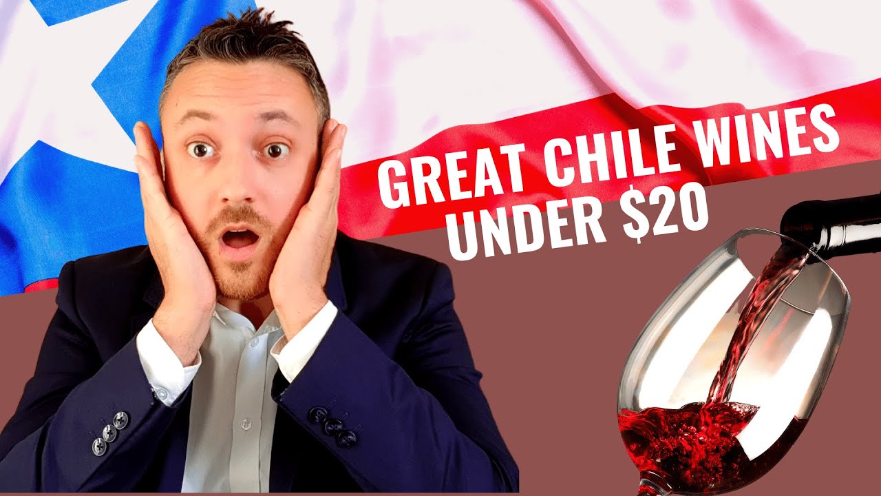 Great Value CHILE Wines Under $20 | 2021 [Discover the best wines from Chile at a fair price]