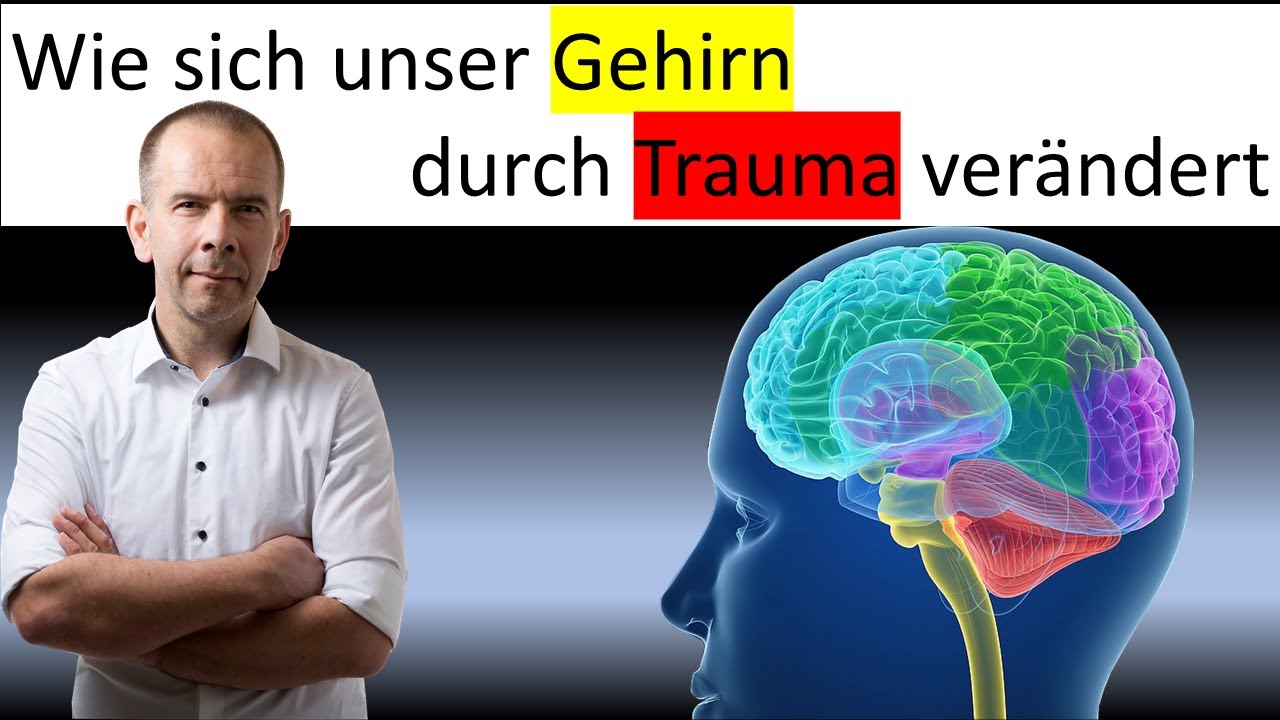 Wie sich unser Gehirn durch ein Trauma verändert - Welche Konsequenzen hat dies bei Borderline?